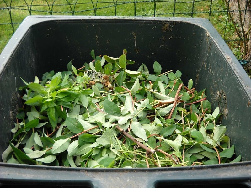 Composting Process