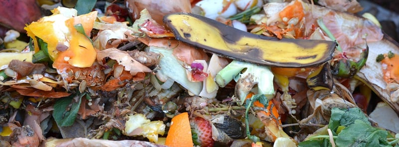 Using Compost