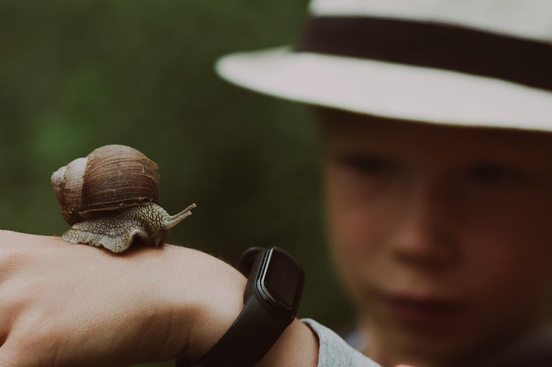 Snail